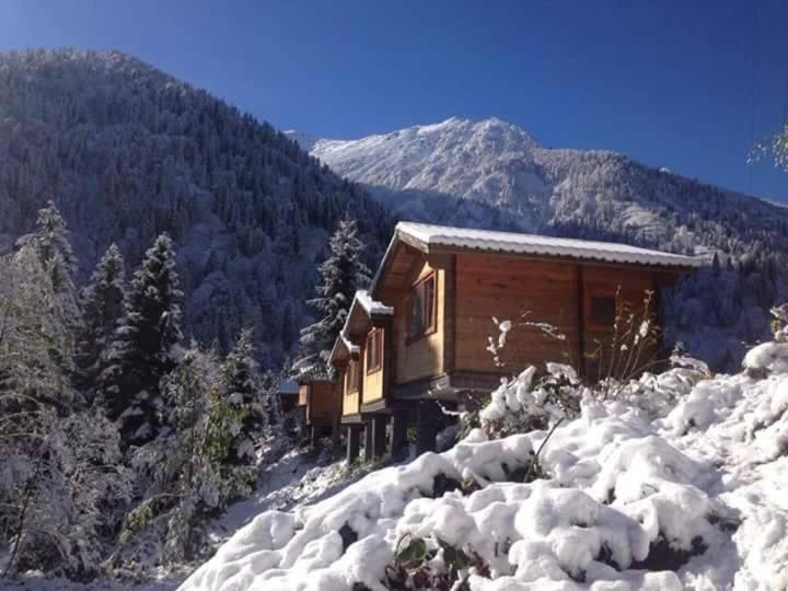 Villa Kardelen Bungalov Evleri̇ à Ayder Yaylasi Extérieur photo