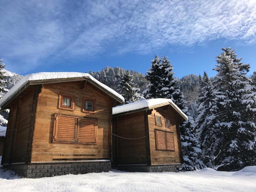 Villa Kardelen Bungalov Evleri̇ à Ayder Yaylasi Extérieur photo