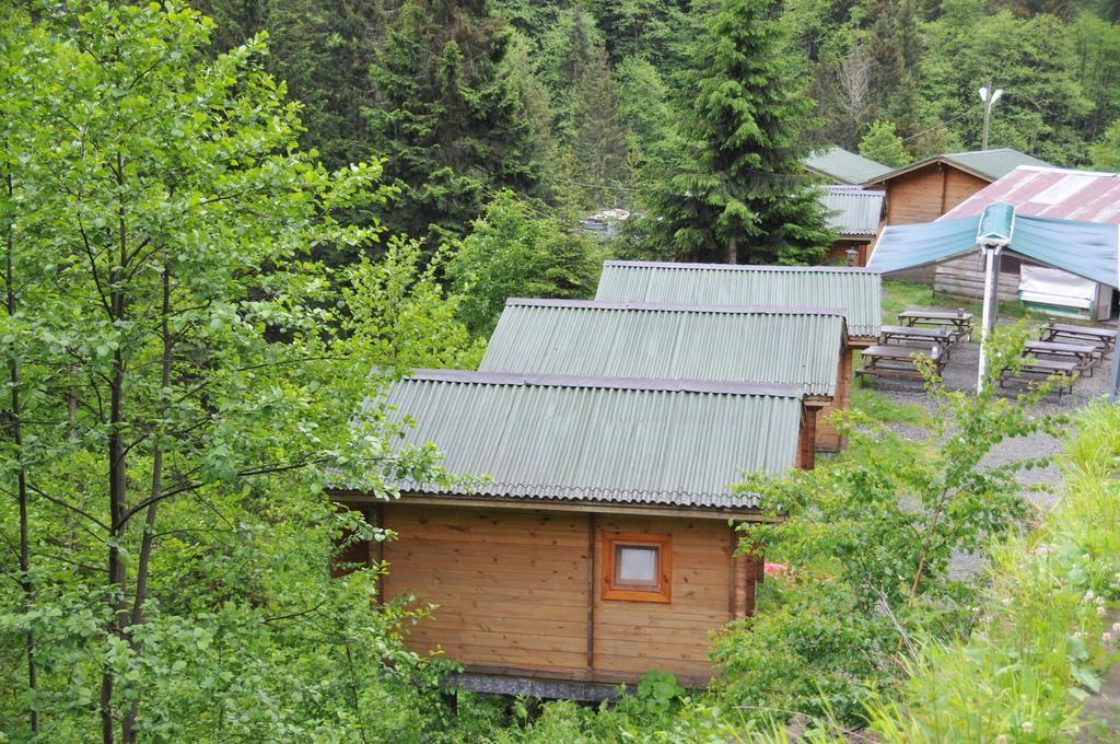 Villa Kardelen Bungalov Evleri̇ à Ayder Yaylasi Chambre photo