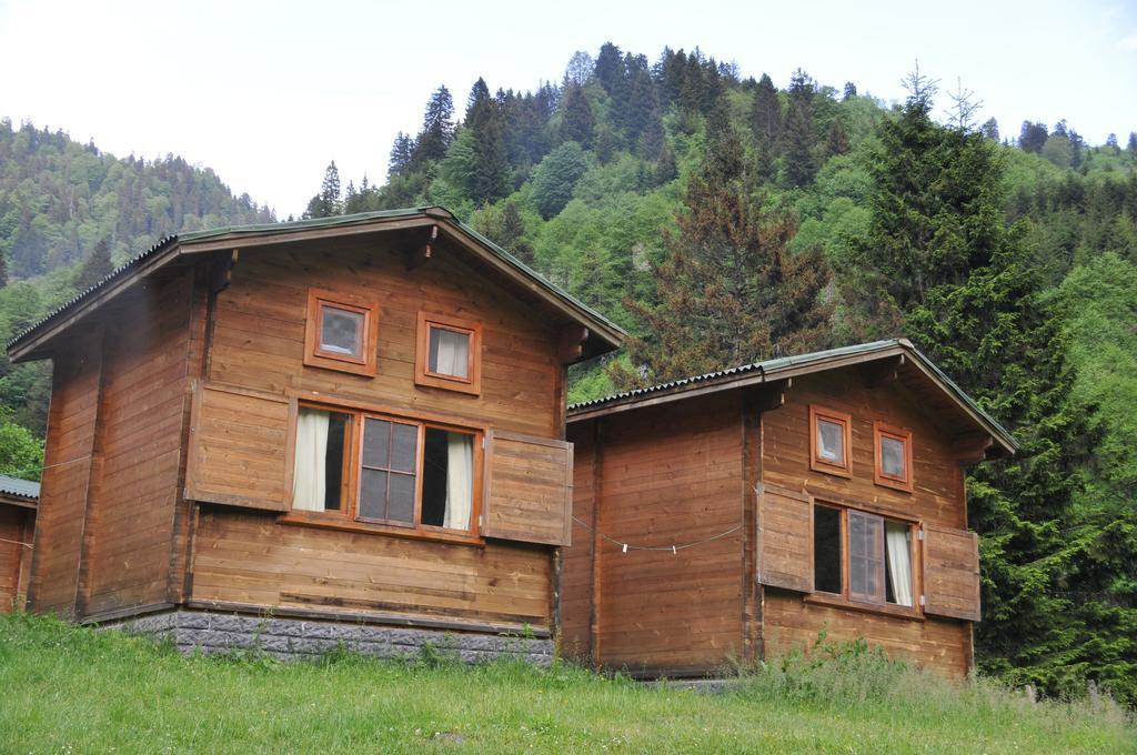 Villa Kardelen Bungalov Evleri̇ à Ayder Yaylasi Chambre photo